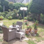 Blick in den Garten