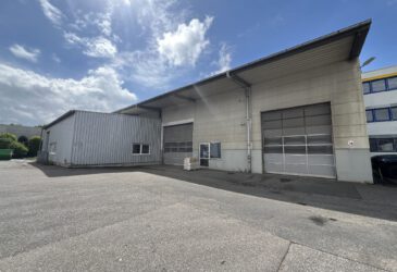 Halle 2