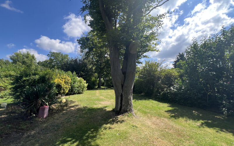 Blick in den Garten