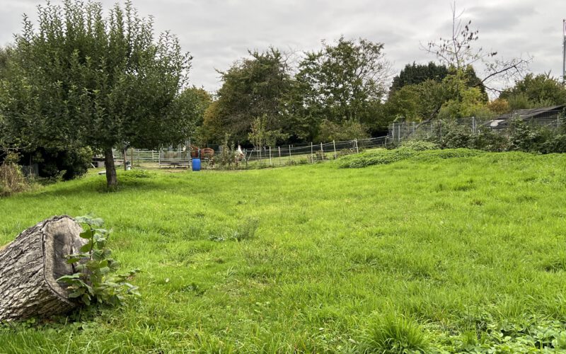 Grundstück (Hausnr.18)