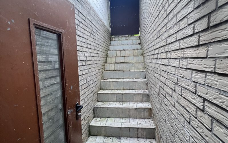 Treppenausgang UG in den Garten