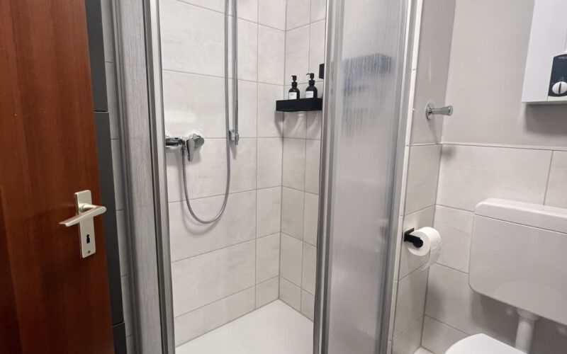 Beispiel modernisiertes Duschbad