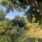 Blick in den Garten