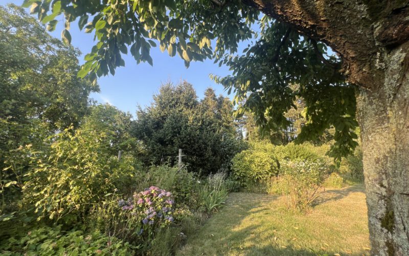 Blick in den Garten