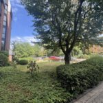 Grünanlage