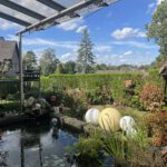Blick in den Garten
