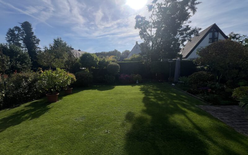 Ausblick in den Garten