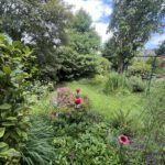 Blick in den Garten