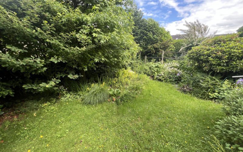 Blick in den Garten II