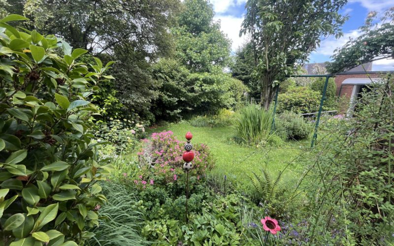 Blick in den Garten 