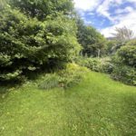 Blick in den Garten II